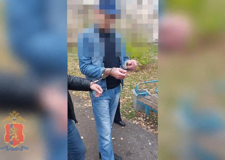 Жителя Железногорска приговорили к четырем с половиной годам колонии за кражу денег на «достойные» поминки для кота