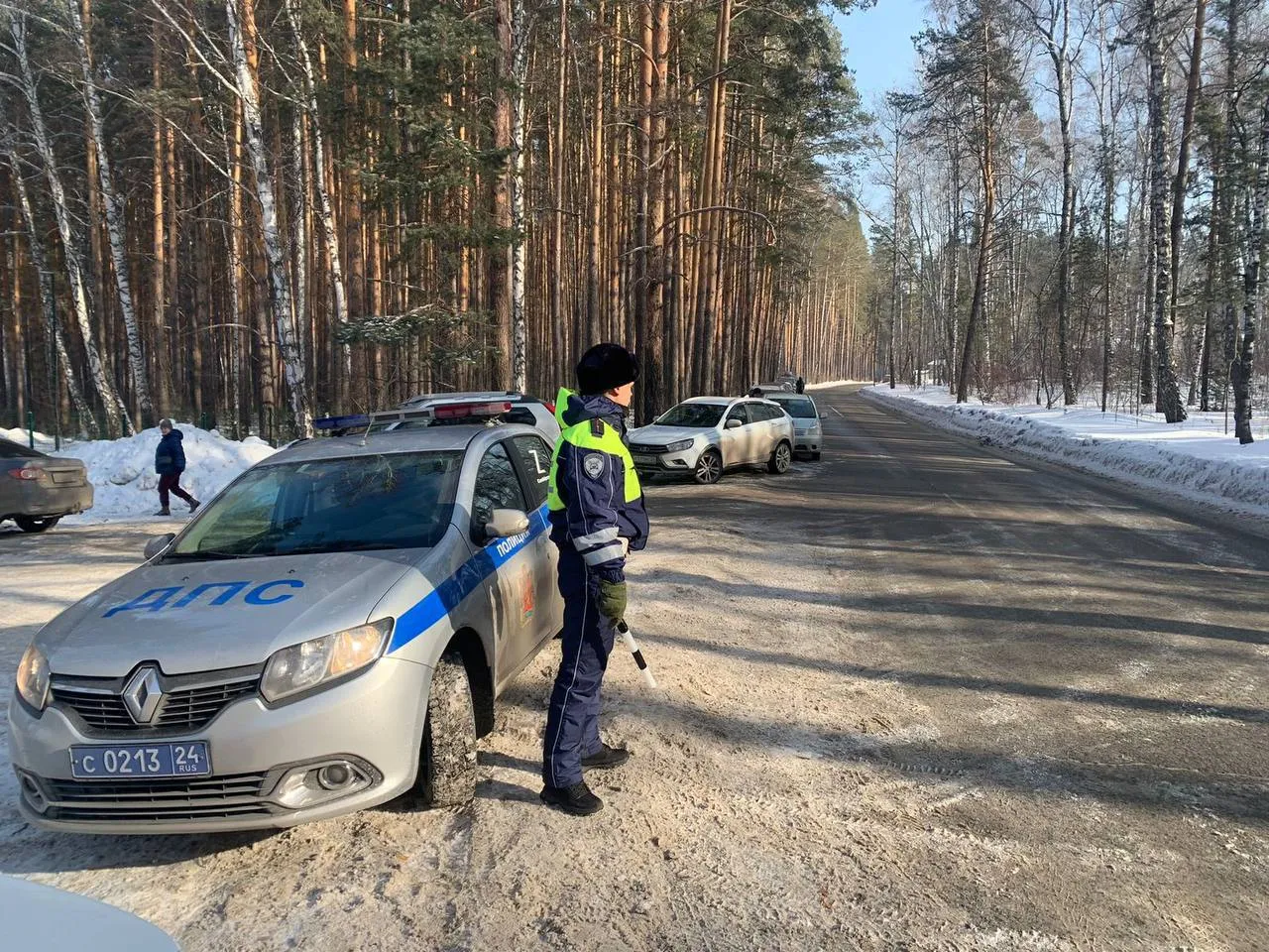 Красноярцев просят соблюдать правила при парковке около экопарка «Юдинская долина»