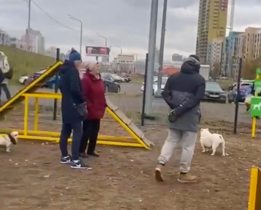 В Красноярске на Авиаторов появилась новая дог-площадка