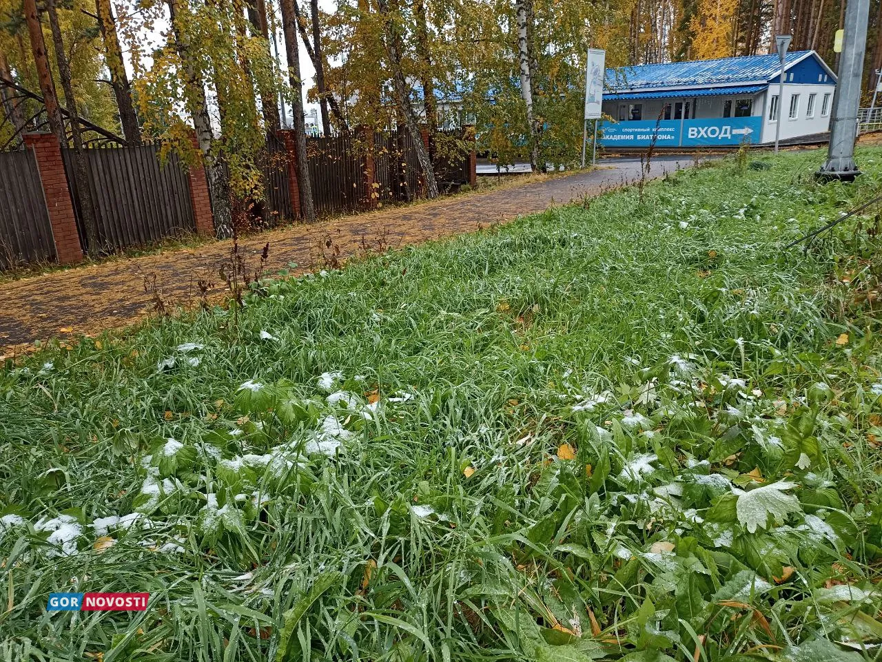 Снег в Красноярске.
Михаил Шуклин