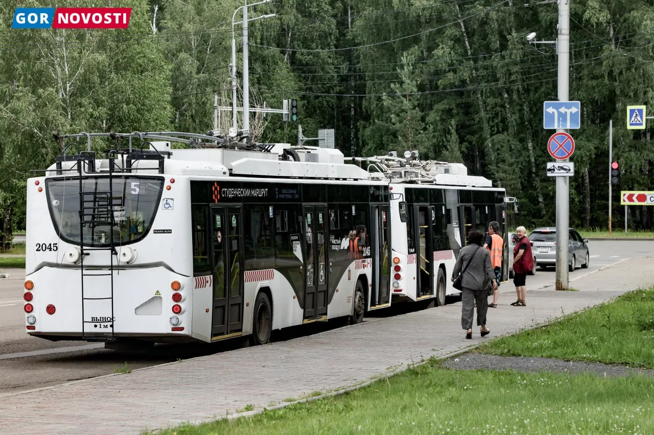 В Красноярске лес возле СФУ благоустроят за 152 миллиона рублей