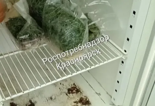 Красноярская служба доставки еды заплатит штраф за нарушения санитарных требований