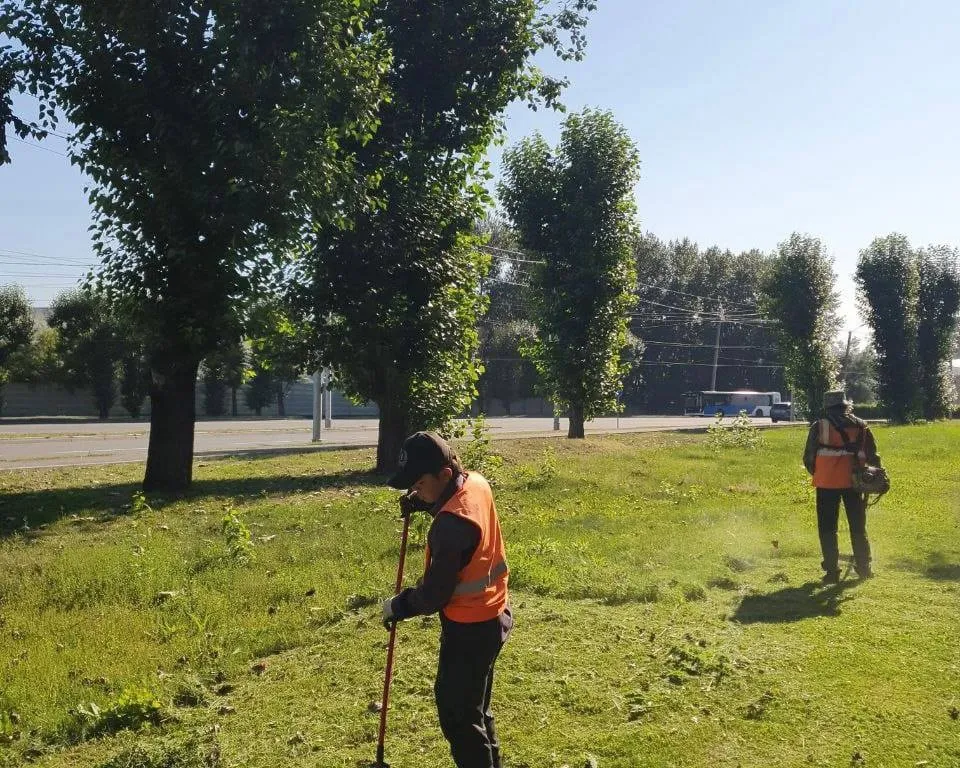 Жители Назарова жалуются на нашествие комаров