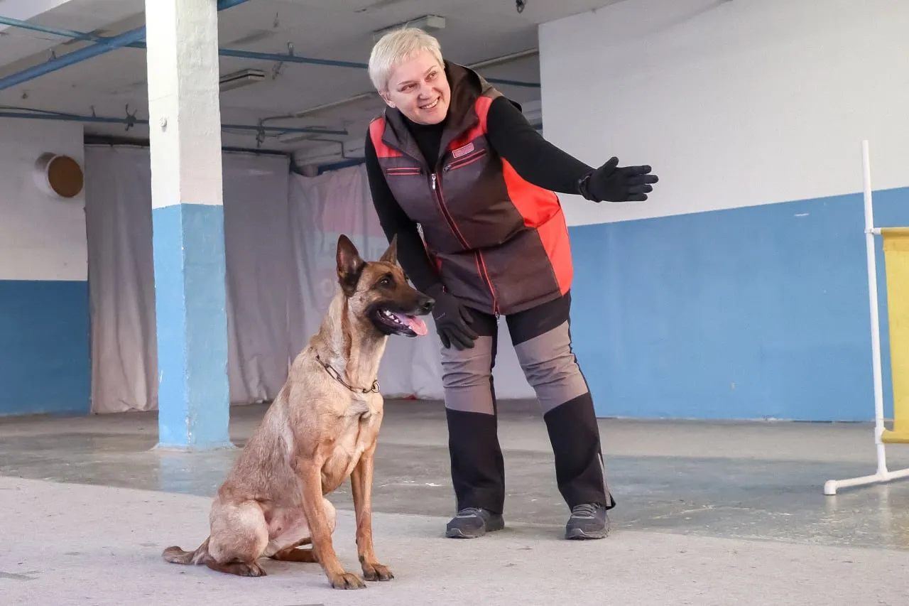 «Прежде всего мы обучаем человека, а потом уже питомца». Чему учат инструкторы по дрессировке