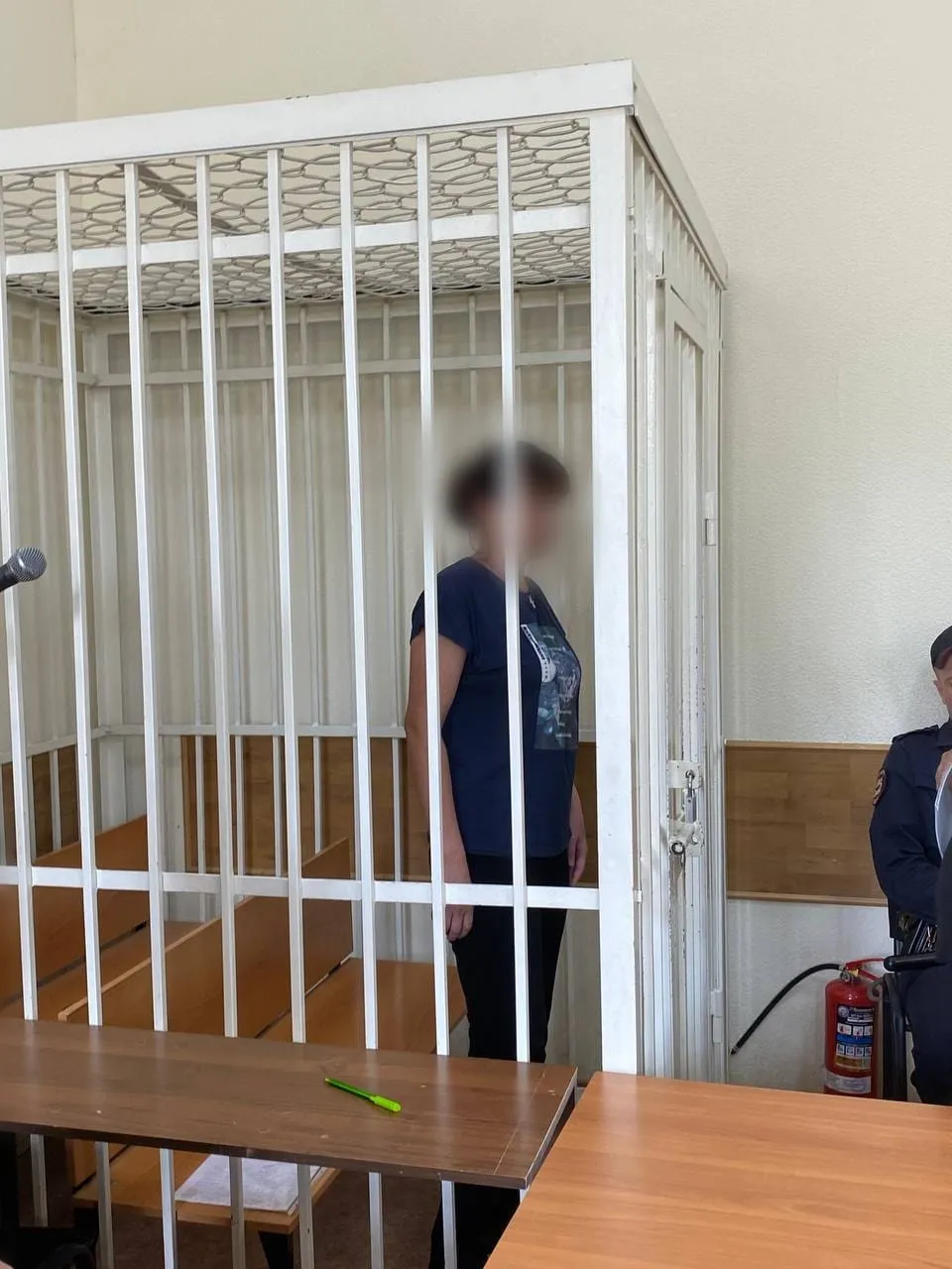 Обвиняемая в убийстве 3-летней дочери жительница Красноярского края останется под стражей