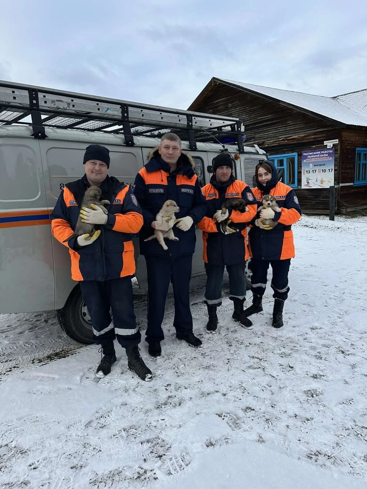 Спасенным из ямы в Красноярском крае щенкам нашли хозяев