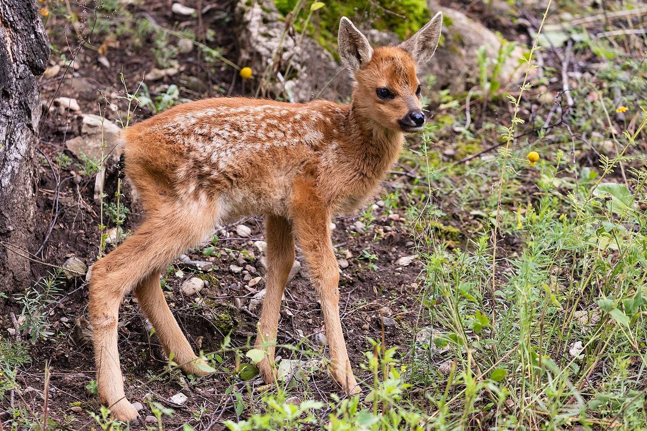 photo_2025-07-24_10-56-34 (2).jpg photo_2025-07-24_10-56-34 (2).jpg