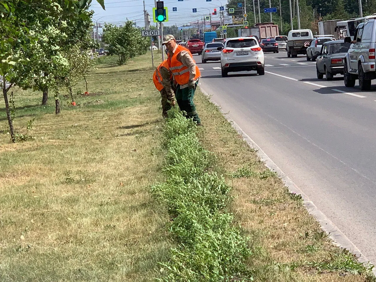 В Красноярске продолжается озеленение улицы 9 Мая