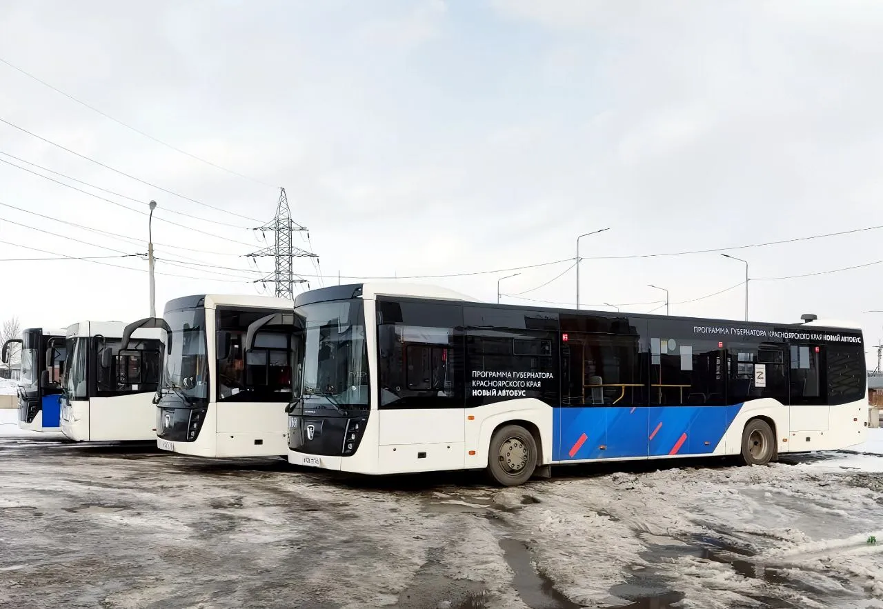В Красноярске выделили 22 автобуса для работы во время выборов президента РФ