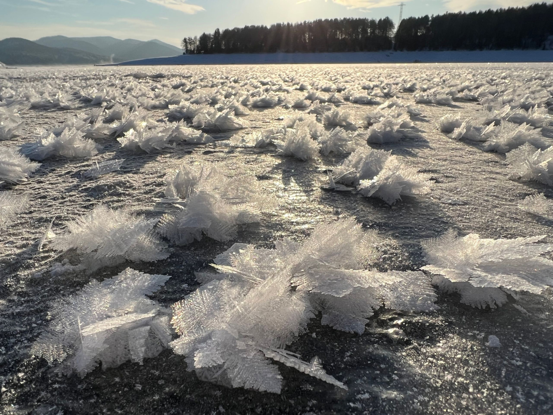 На Красноярском водохранилище появились ледяные цветы