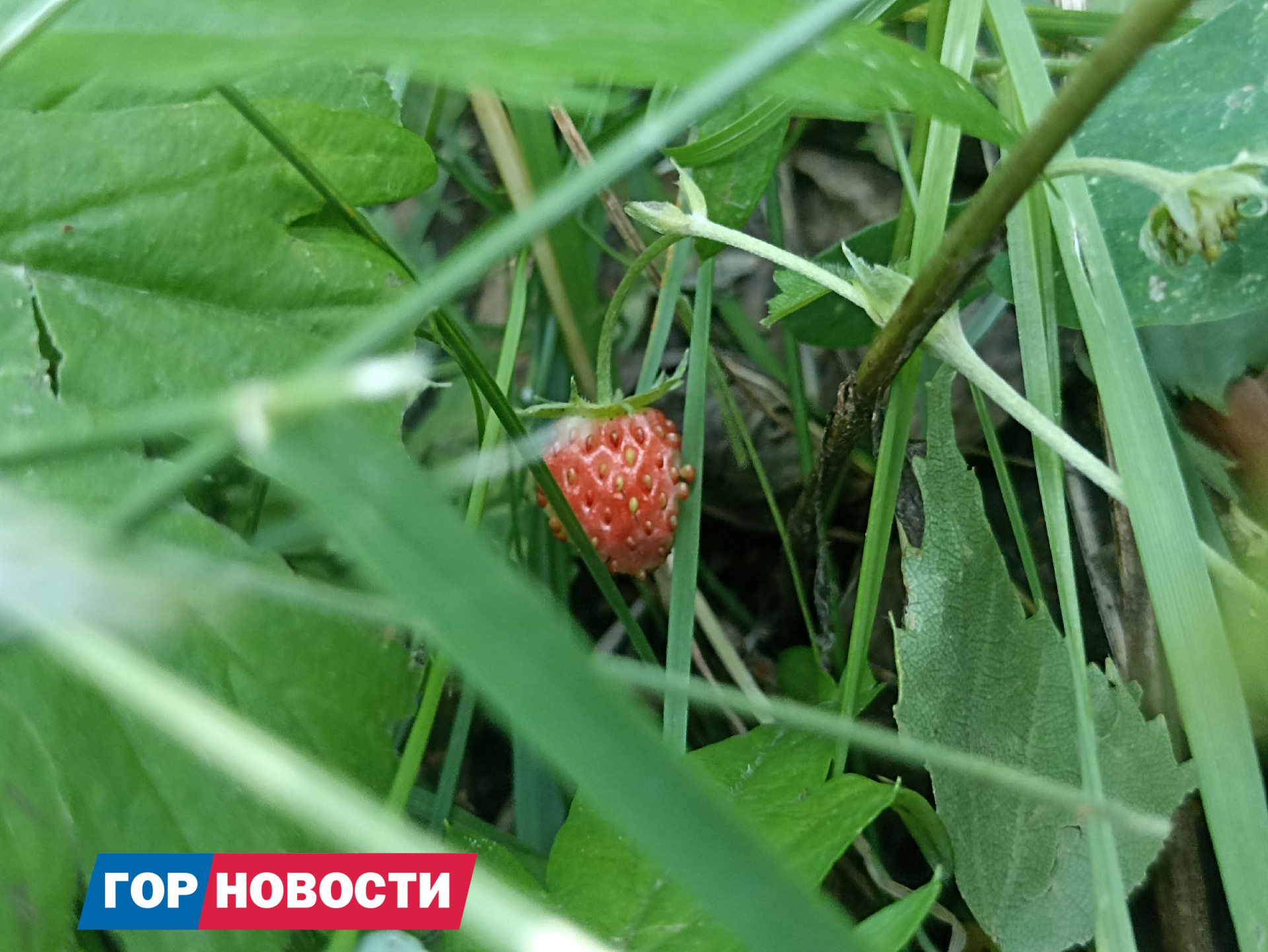 Михаил Шуклин