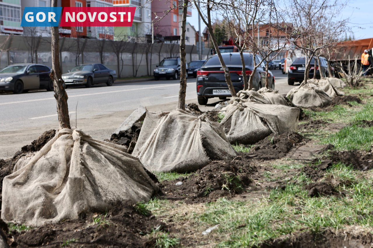 парковка поликлиника