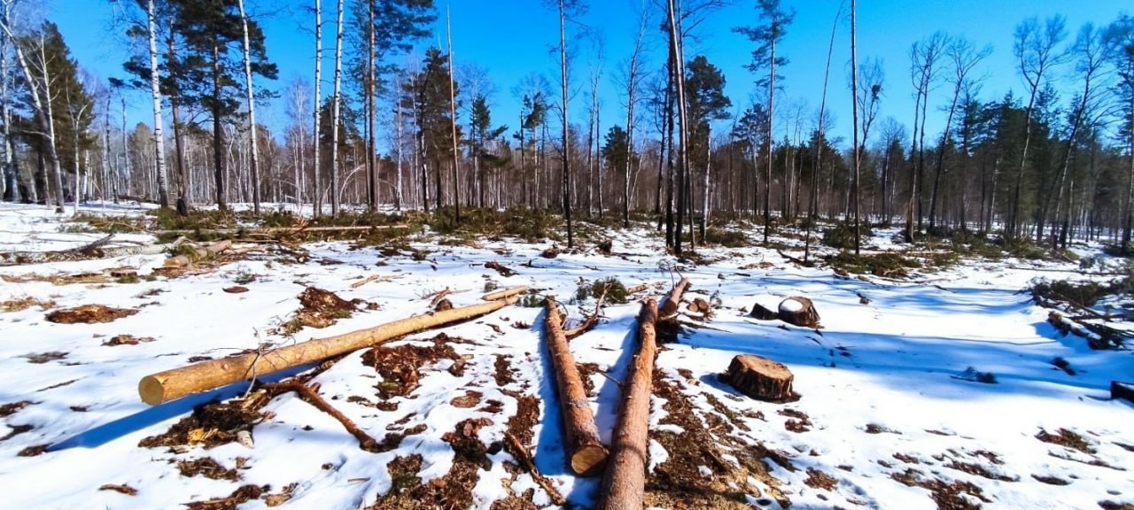 Предприятие в Красноярском крае заплатит 58 млн рублей за загрязнение окружающей среды