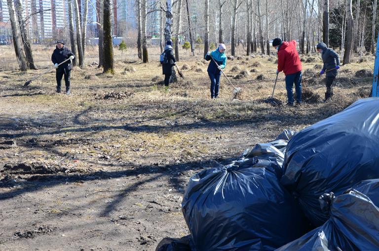 В Красноярске начался двухмесячник по благоустройству и озеленению