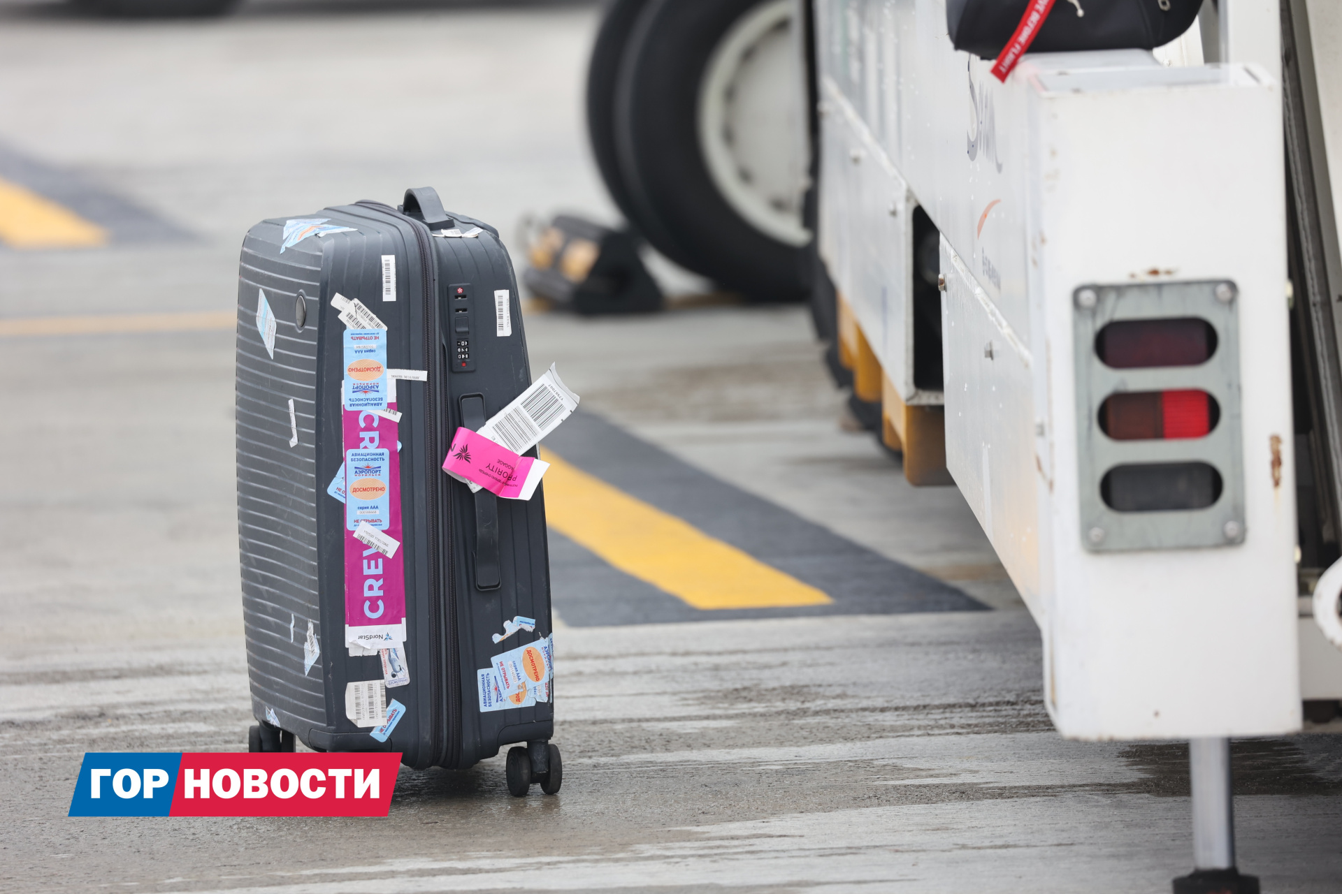 Красноярцам напомнили, какие прививки сделать перед поездкой за рубеж