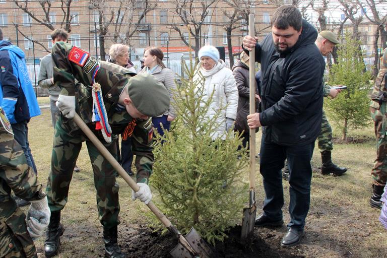 На Аллее Победителей в Железнодорожном районе Красноярска высадили деревья