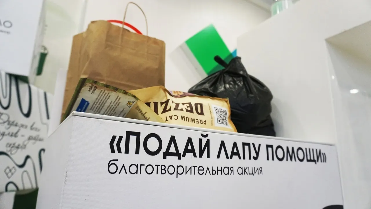 В Красноярске 7 октября стартует благотворительная акция помощи животным