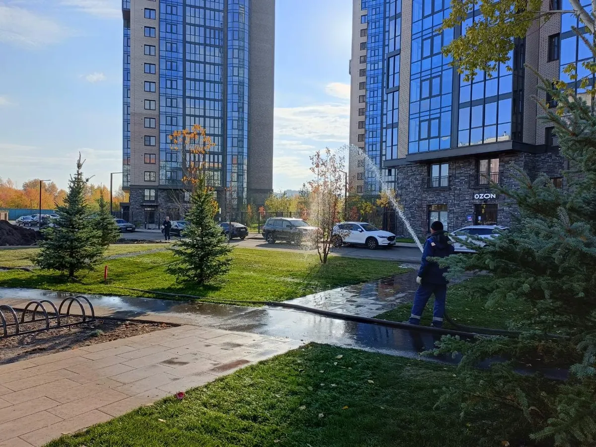 В Красноярске за неделю посадили 5 143 дерева