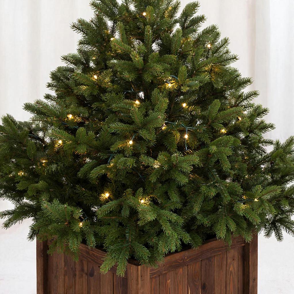 Иллюстрация сгенерирована нейросетью GigaChat