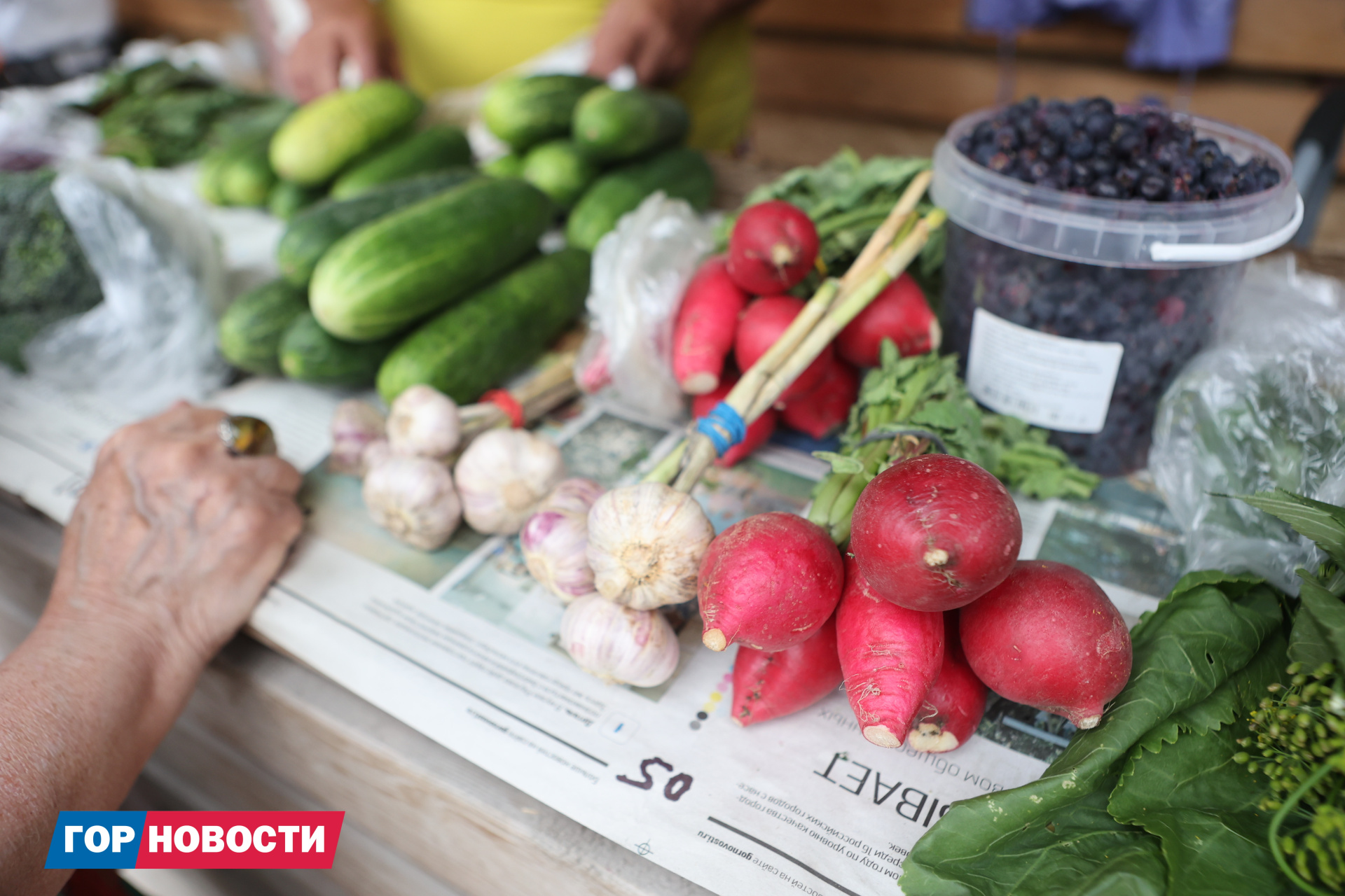 Фото: Михаил Шуклин