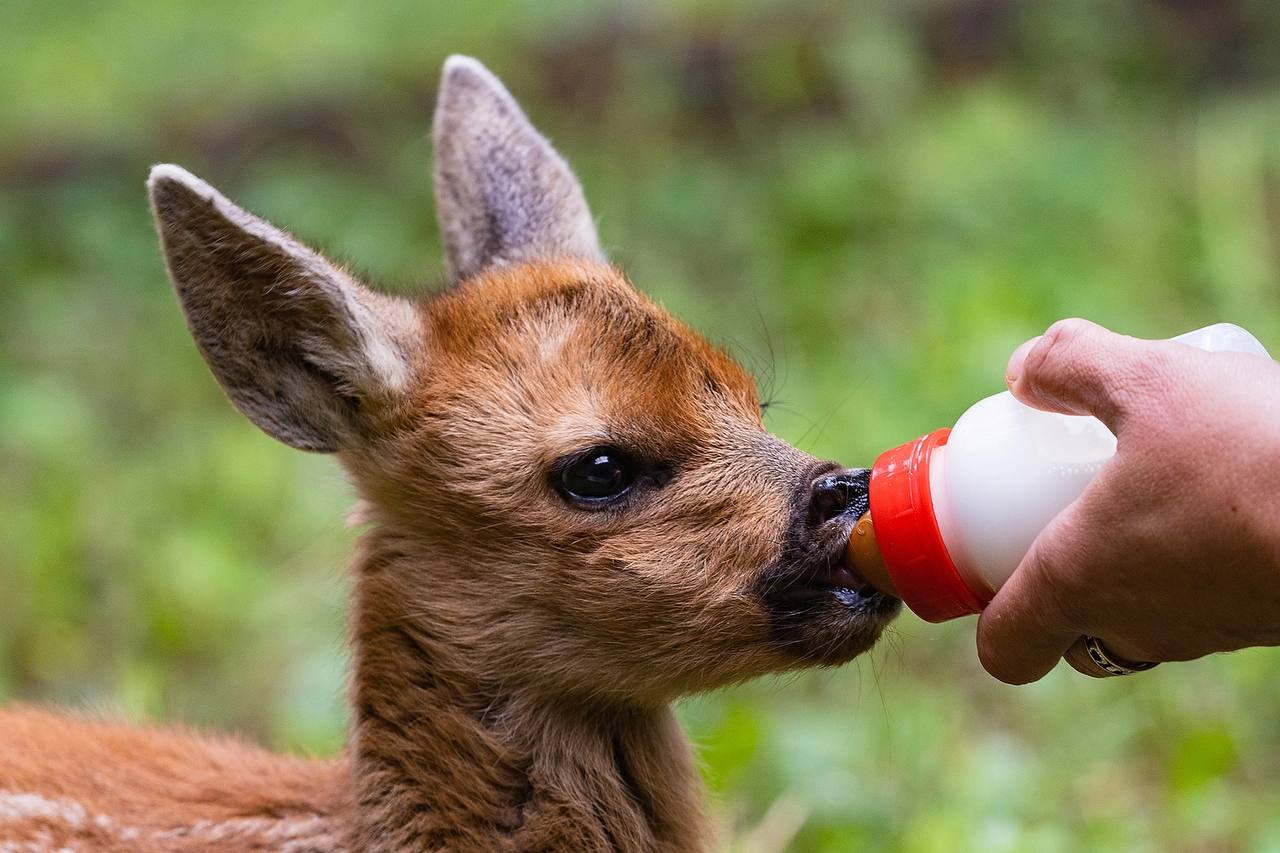 photo_2025-07-24_10-56-34.jpg photo_2025-07-24_10-56-34.jpg