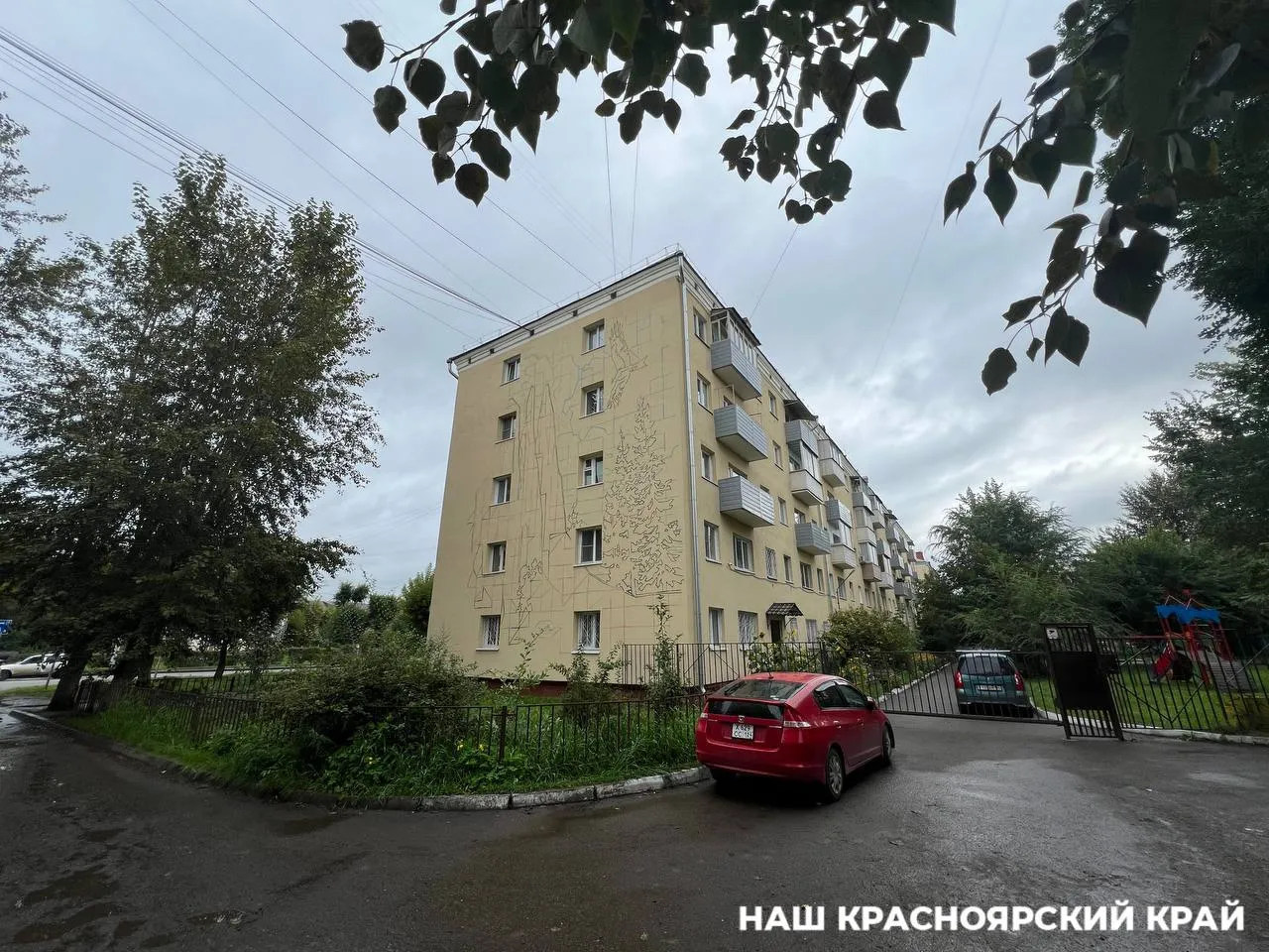 В Красноярске появится мурал со скалой Перья