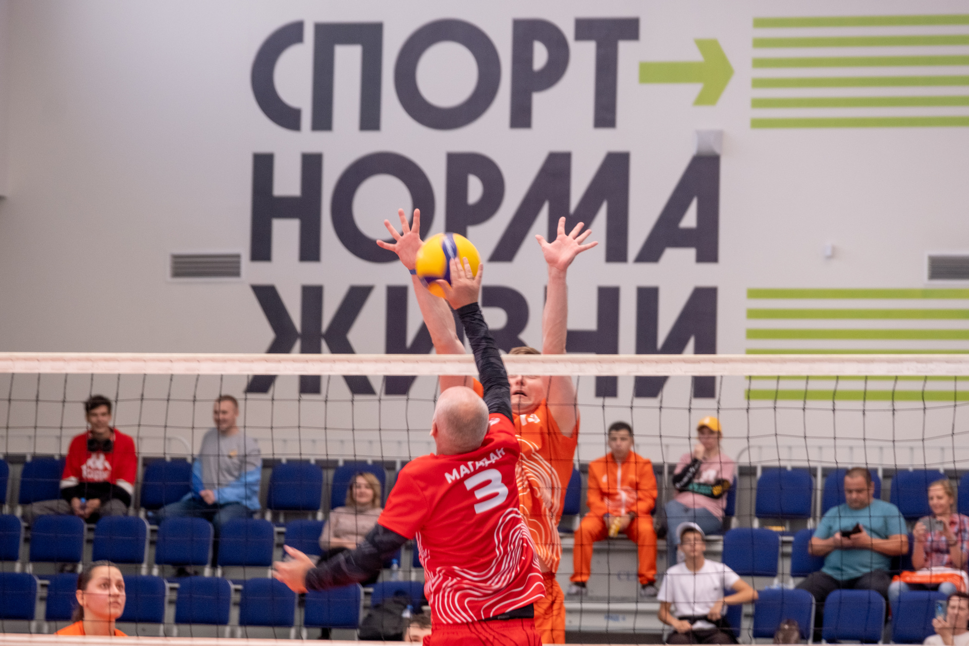 полюс