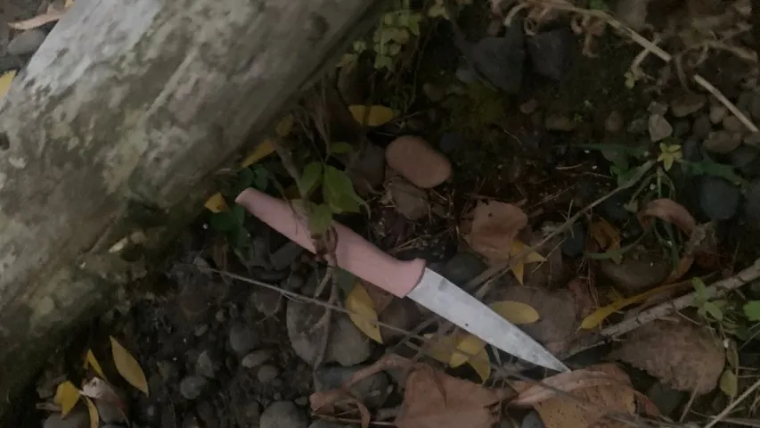 В Красноярске 25-летний парень напал с ножом на случайного прохожего в центре города