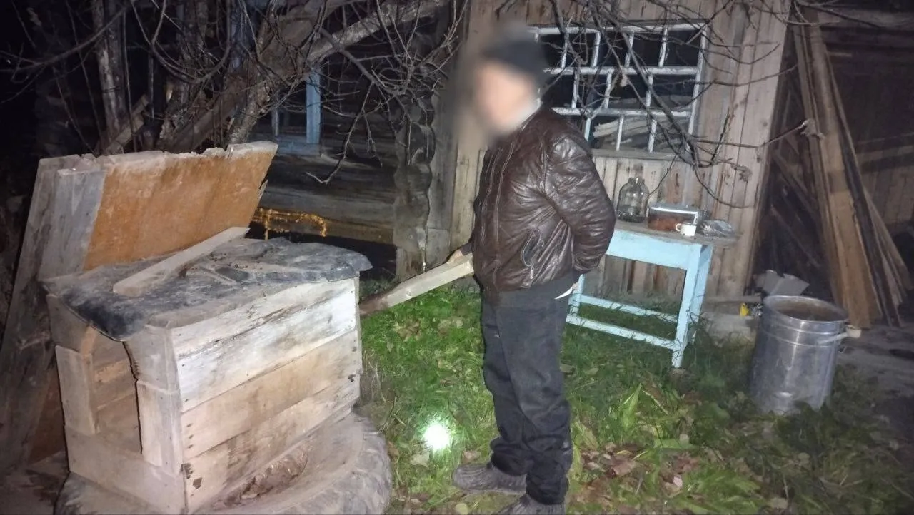 На жителя Красноярского края завели дело за убийство собаки в доме приятельницы
