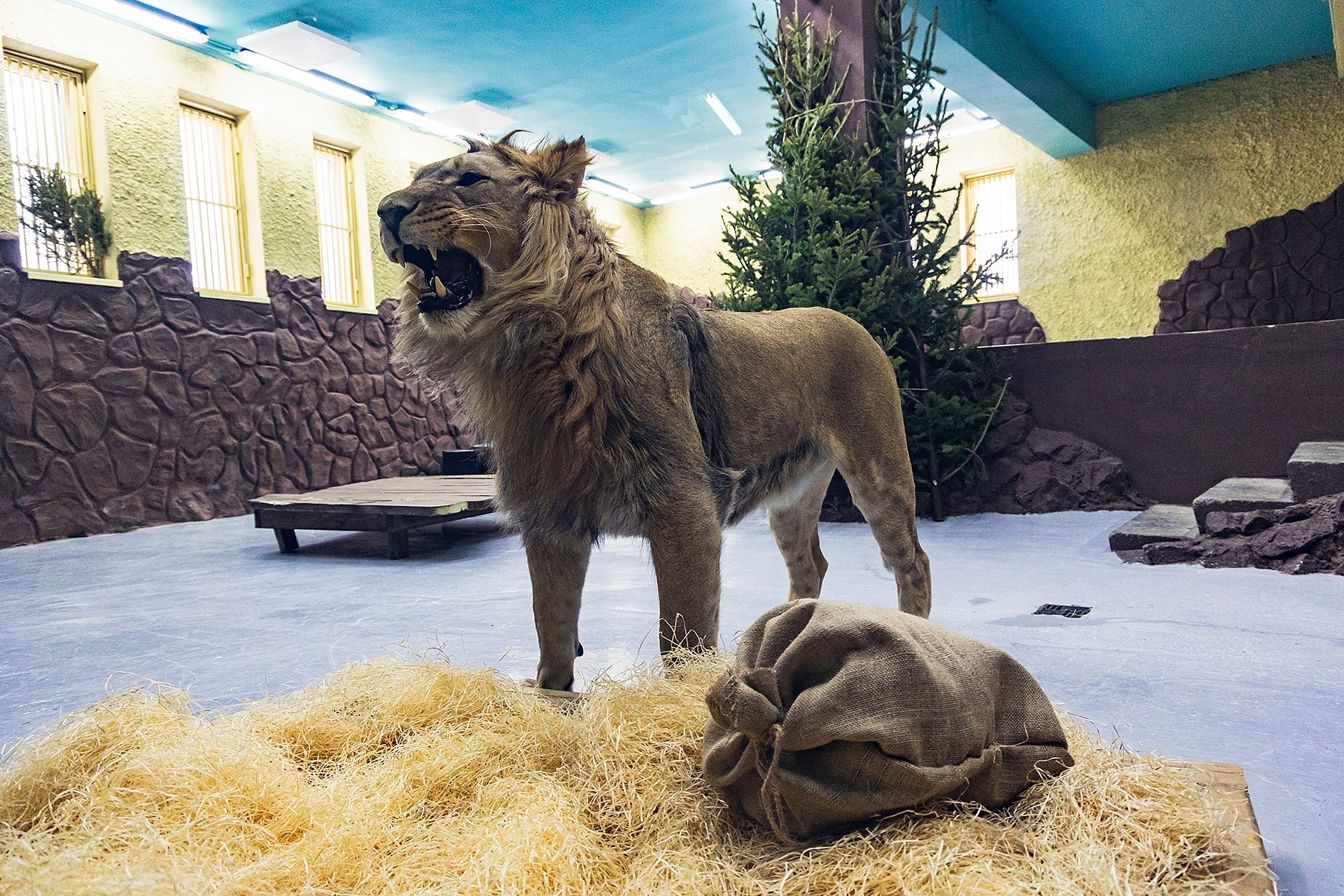 Фото: парк флоры и фауны «Роев ручей»