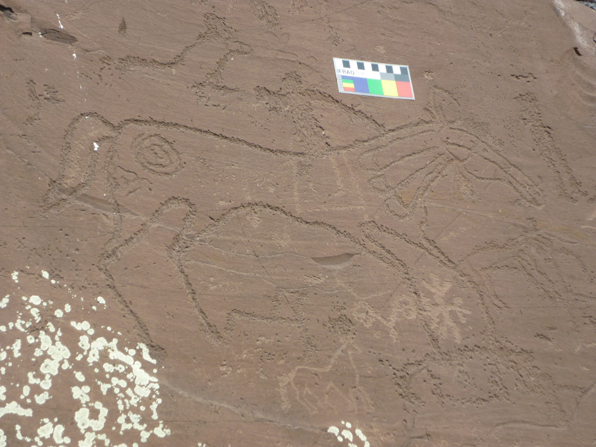 5_Лошади и всадник_Таштыкская культура_Оглахты_Хакассия_нач. I тыс. до н.э..jpg