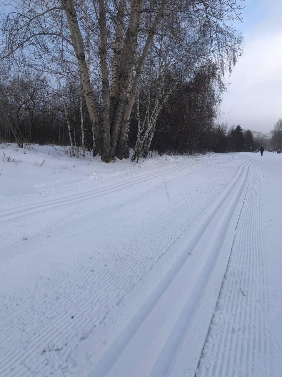 В Красноярске на острове Татышев обустроили лыжную трассу