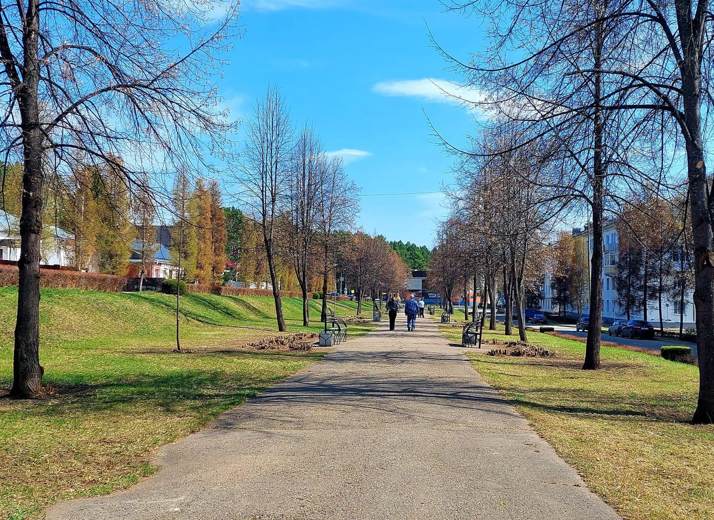 В Красноярском крае в 2023 году появятся 39 новых парков и скверов
