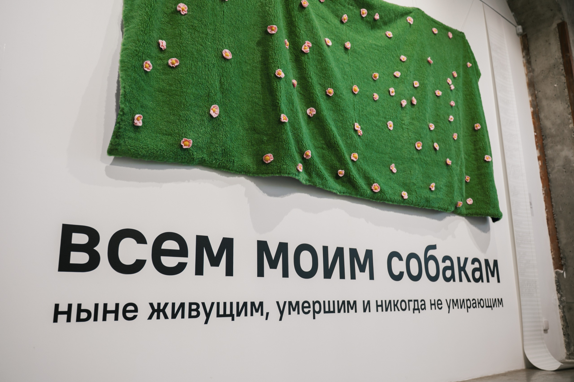 выставка 4.jpg