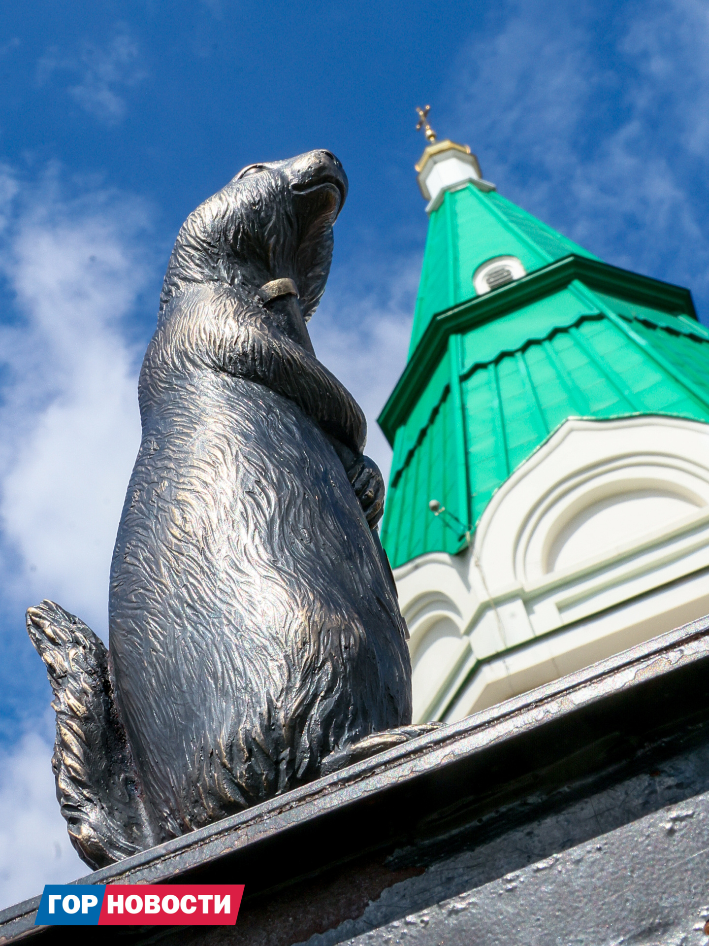 Фото: Дмитрий Шабалин