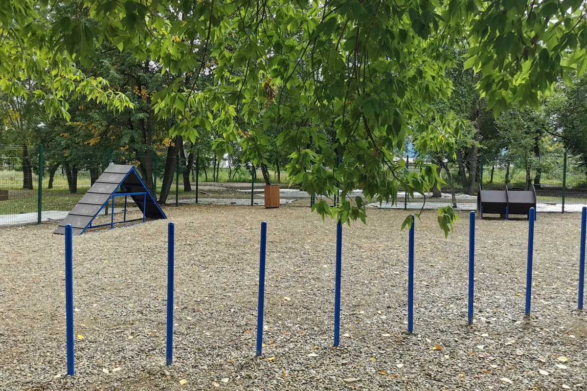 Красноярцы предложили места обустройства новых площадок для собак