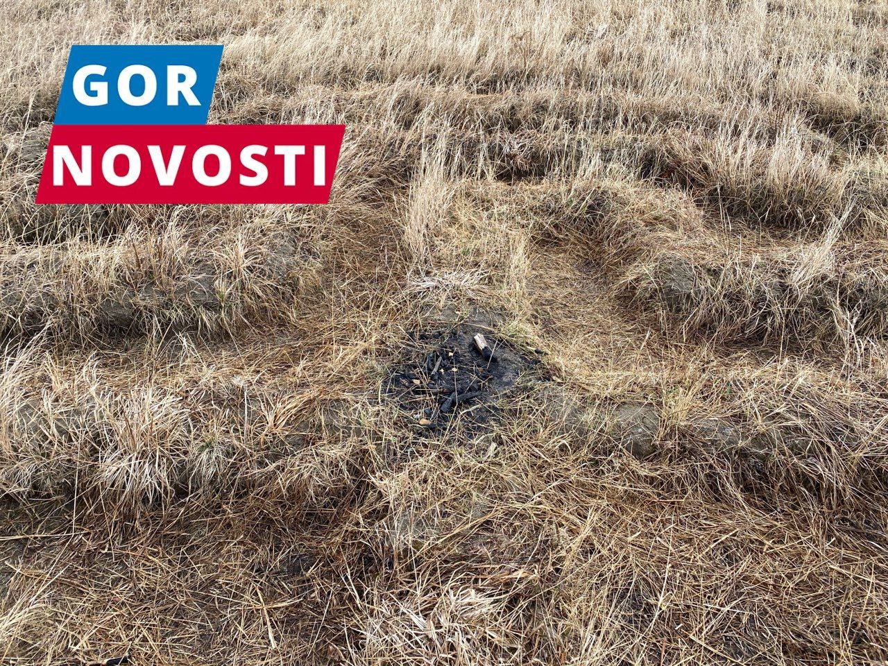 Журналисты Gornovosti: круги на острове Татышев, вероятно, имеют ритуальное предназначение