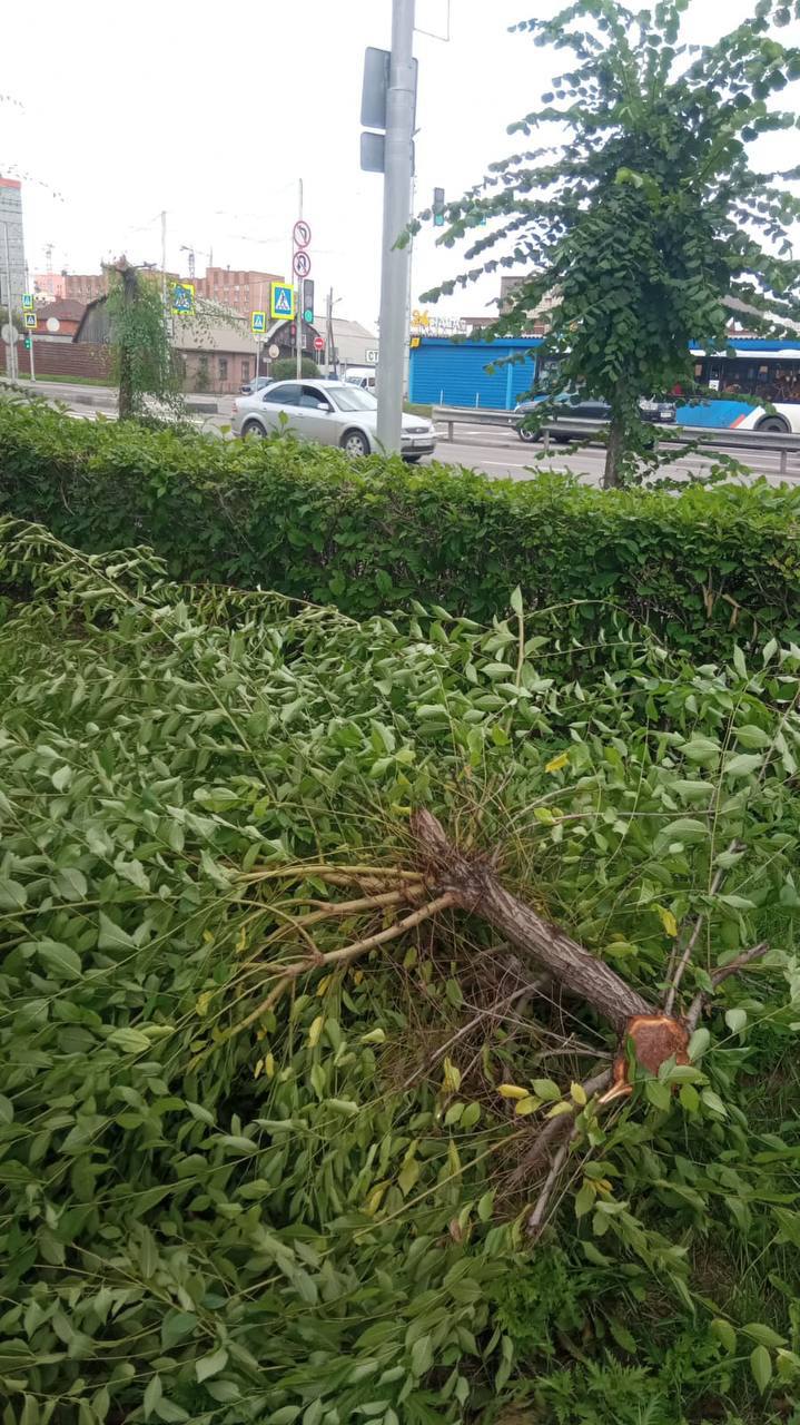 ФОто: телеграм-канал «ГрадВестник» ФОто: телеграм-канал «ГрадВестник»