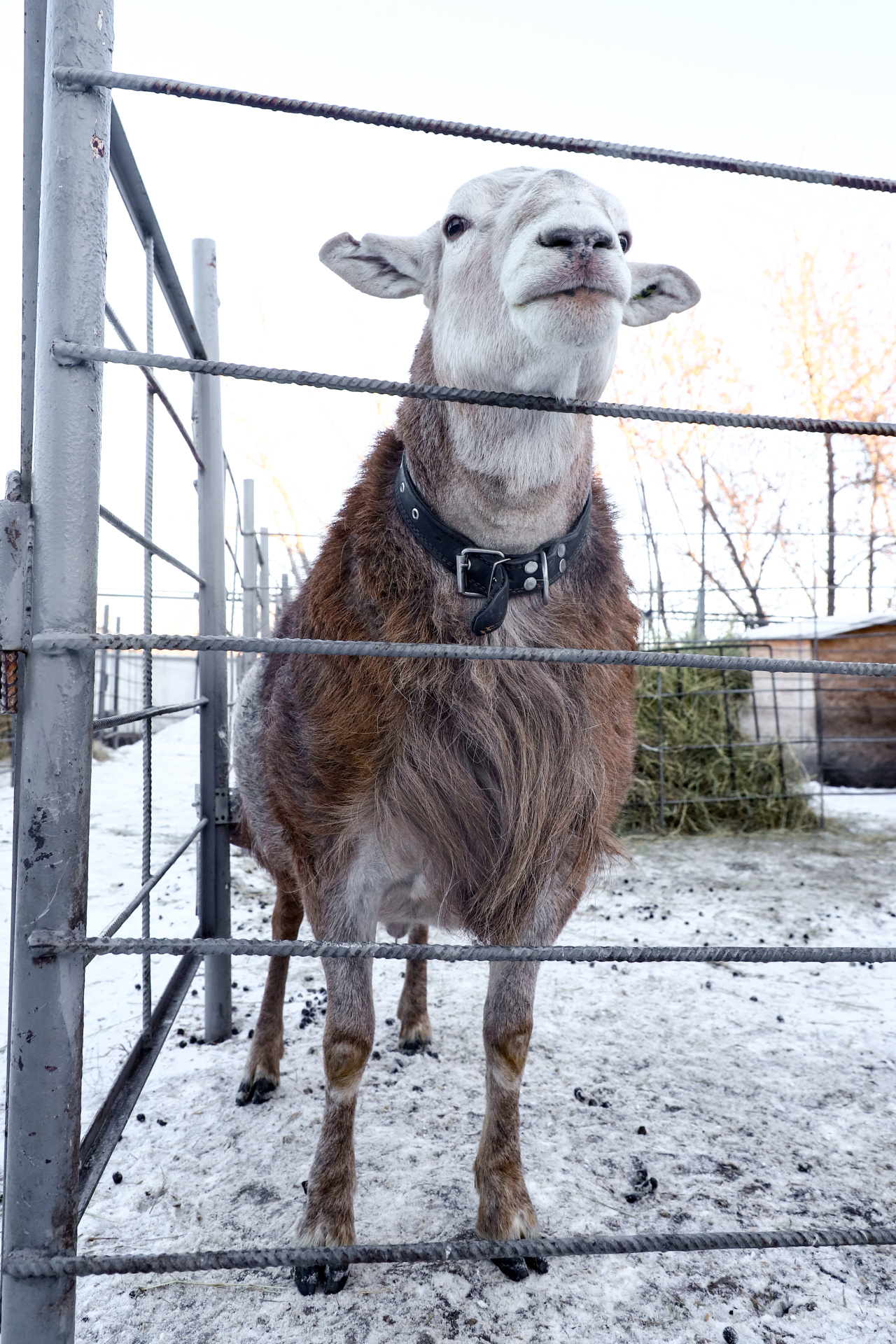 D-IMG_1284.jpg D-IMG_1284.jpg