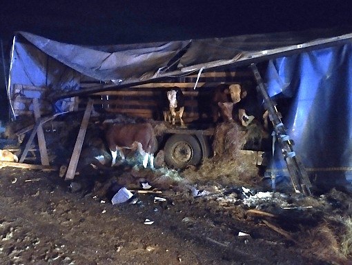 Фото: КГКУ «Противопожарная охрана Красноярского края» Фото: КГКУ «Противопожарная охрана Красноярского края»