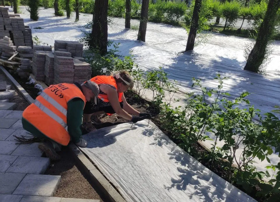 В Красноярске променад на «Красноярском рабочем» засеяли семенами газона