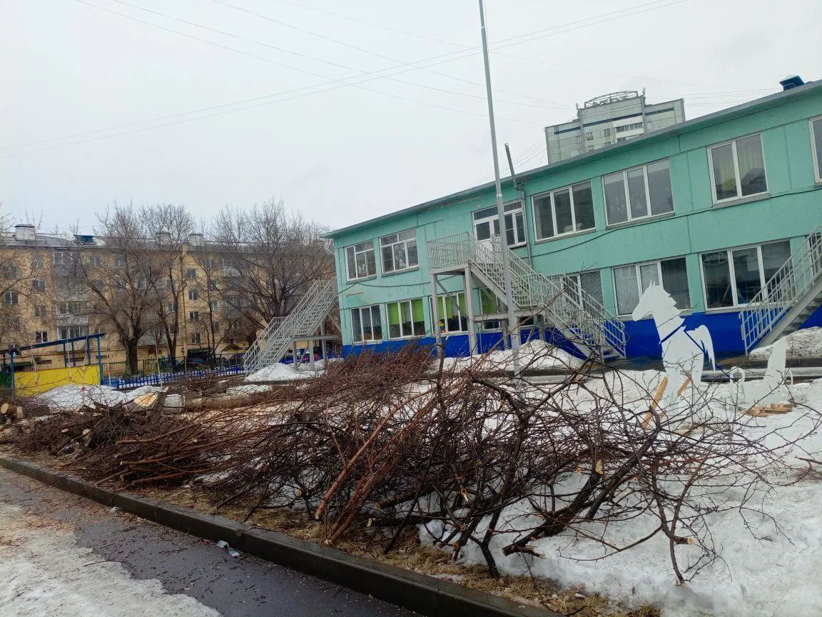 photo_2026-02-19_14-52-53 (2).jpg