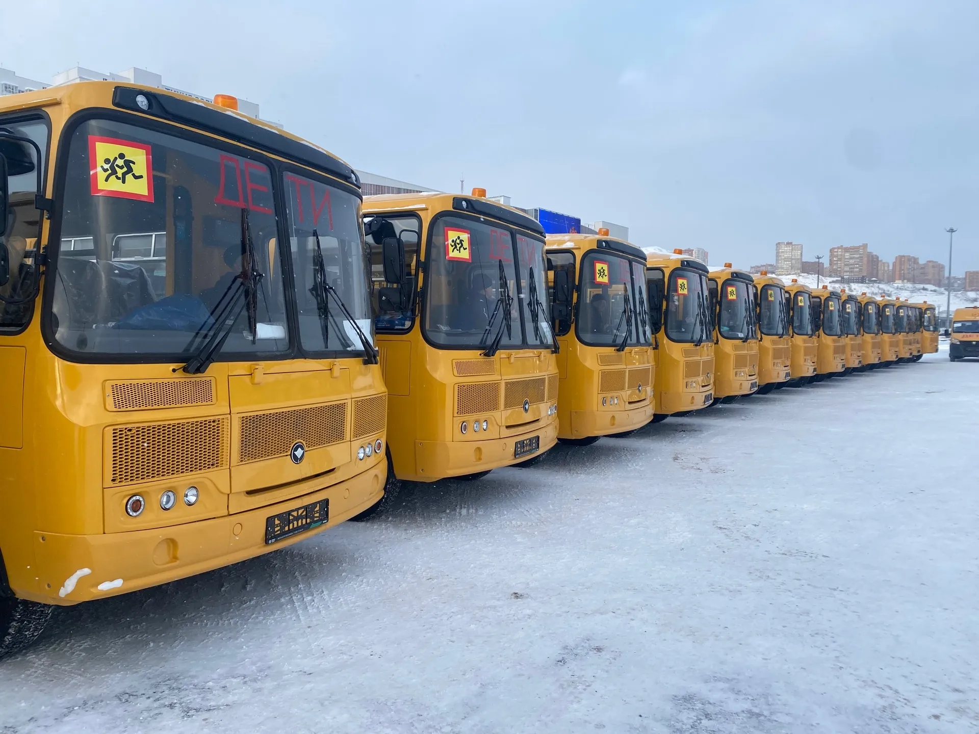 Школы Красноярского края получили 49 новых автобусов