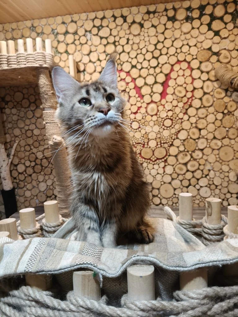 Юмита, фото Любови Мешковой.jpg