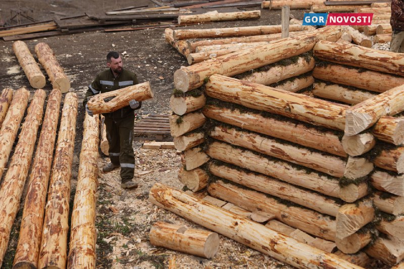 В Красноярске в «Роевом ручье» рядом с вольером белых медведей строят зимовье русских мореходов