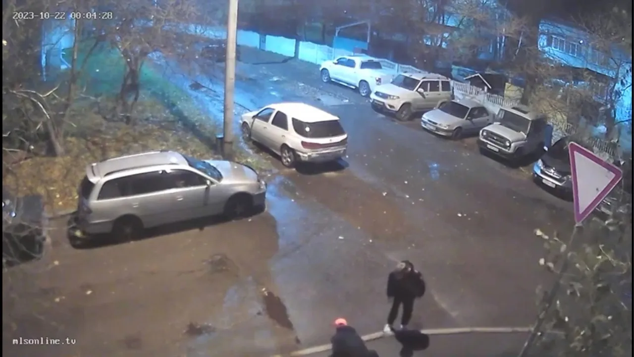 В Сосновоборске ищут очевидцев кражи