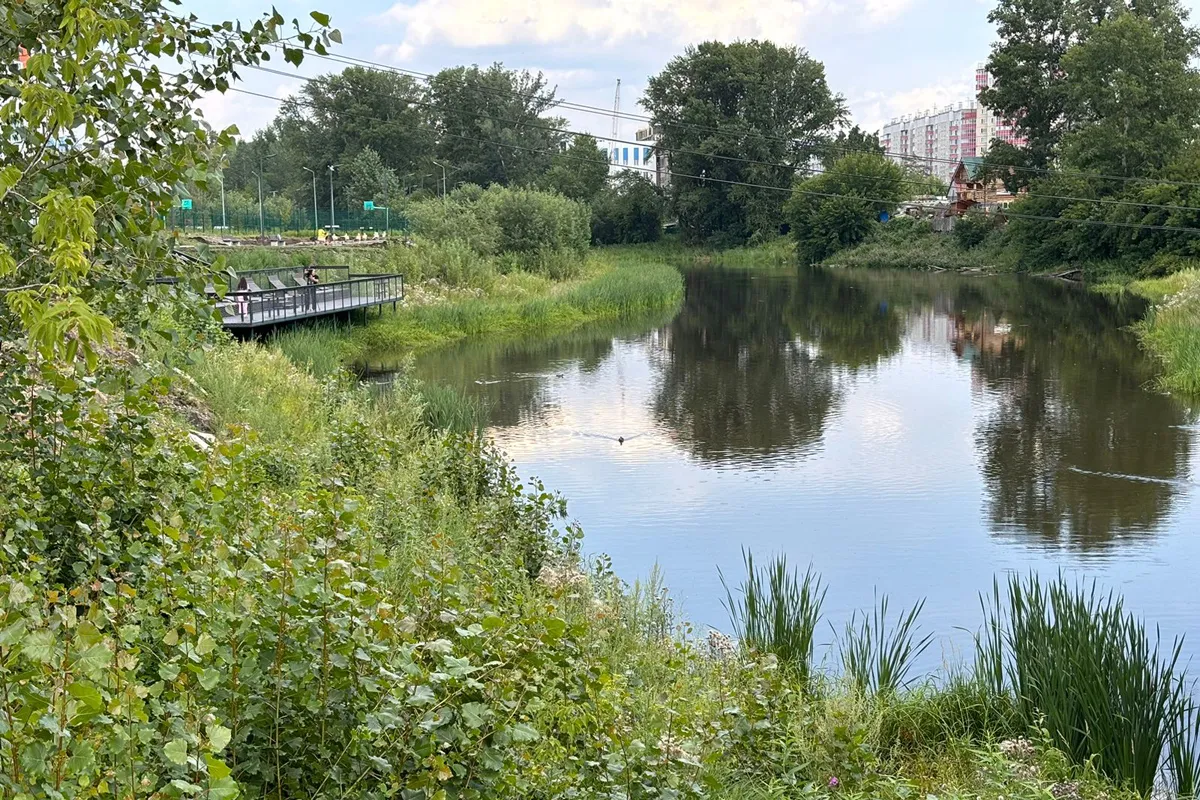 В Красноярске готовят к благоустройству озера микрорайона Пашенного