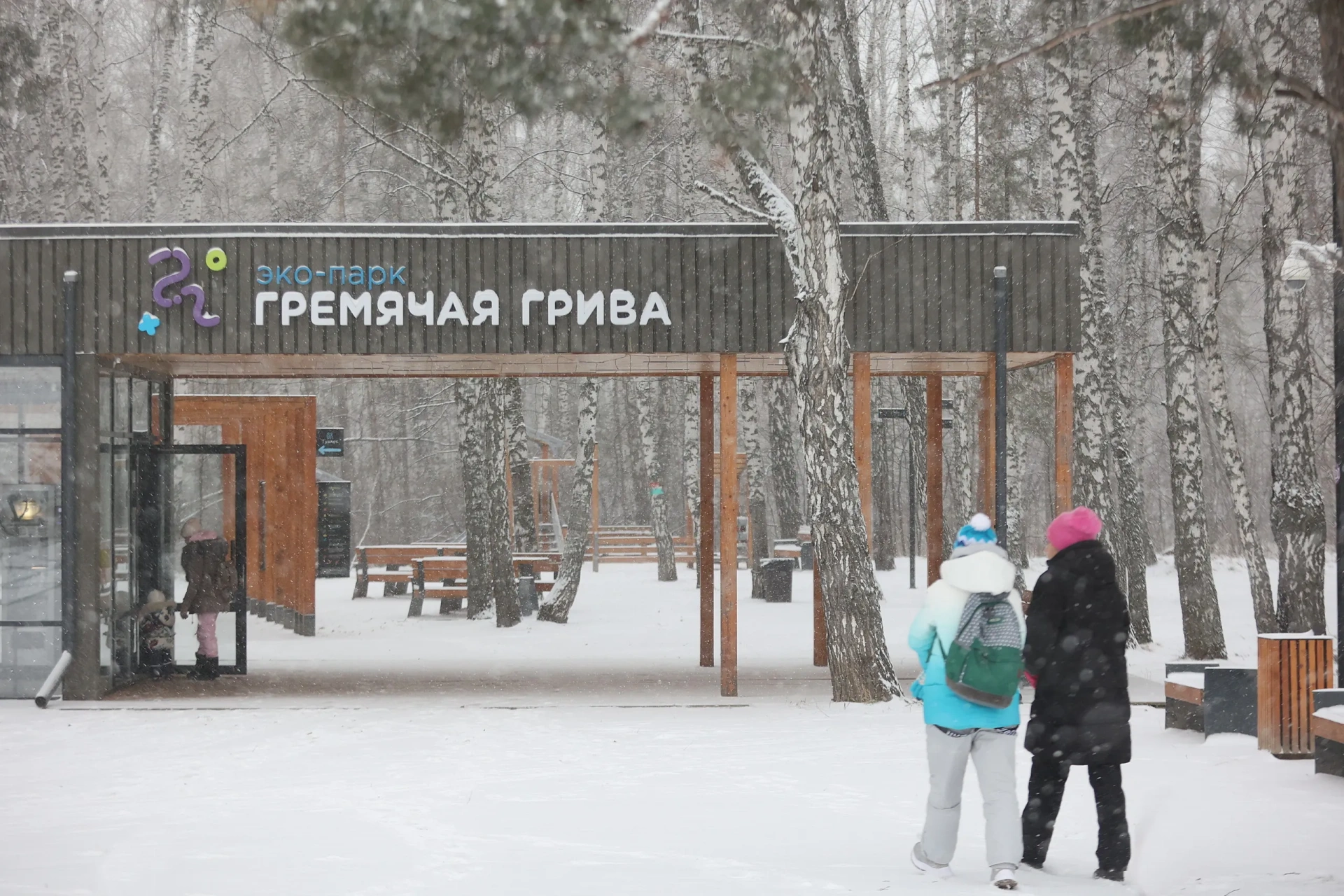 «Гремячая грива» возглавила рейтинг интернет-популярности у красноярцев