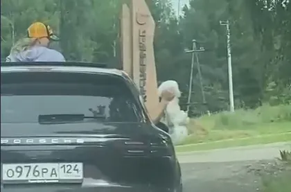 Красноярец вытащил собаку из окна автомобиля на полном ходу и проехал так несколько метров