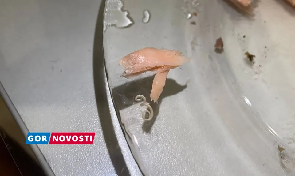 В одном из гипермаркетов Красноярска продавали горбушу с червями